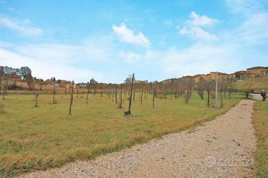 Terreno agricolo con annesso in legno