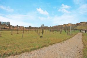 Terreno agricolo con annesso in legno
