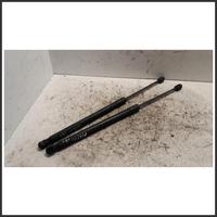 Ammortizzatori Cofano Portelloni post. dx HYUNDAI 