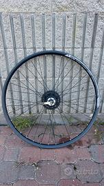 Ruota Posteriore 29" A-light Quasar disco 6 fori