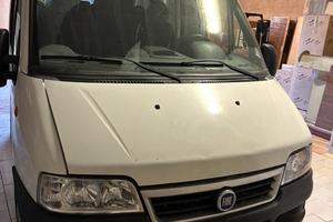 Fiat ducato 9 posti