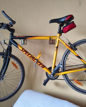 Mountain bike Specialized hard rock usata poco