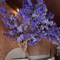 ALBERO ARREDAMENTO GLICINE TRONCO STABILIZZATO