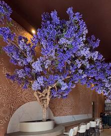 ALBERO ARREDAMENTO GLICINE TRONCO STABILIZZATO