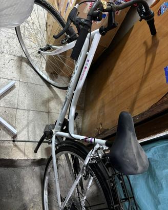Bici country 28