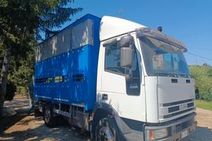 IVECO 80E18 TRASPORTO BESTIAME