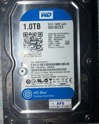 WD Blue 1TB 3.5” SATA 7200rpm testato