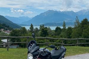 SUZUKI GSF 600 BANDIT 2003