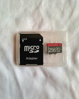 Sd SanDisk 256 gb