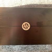 Amplificatore audio DLS MX10 monocanale da 550W