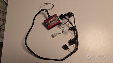 Power Commander 5 Triumph Speed triple 1050 2005