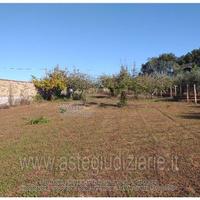 Terreno Agricolo Nettuno [A4346124]