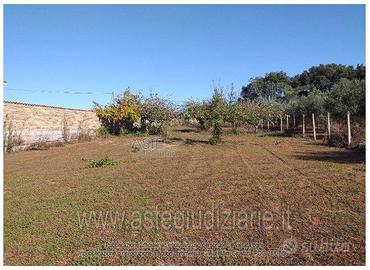 Terreno Agricolo Nettuno [A4346124]