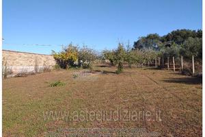 Terreno Agricolo Nettuno [A4346124]