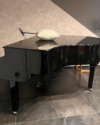 Pianoforte a coda elettronico