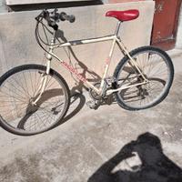 bici mtb cambio shimano