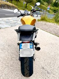 Honda Hornet 600