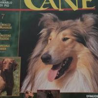 Enciclopedia raccolta cani di razza