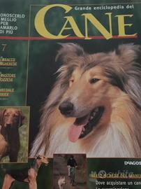 Enciclopedia raccolta cani di razza