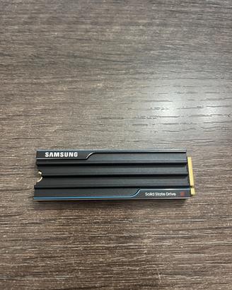 SSD Nvme 5.0 Samsung 9100 PRO 1TB con dissipatore