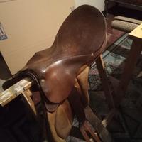 Sella all'inglese argentina