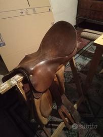 Sella all'inglese argentina