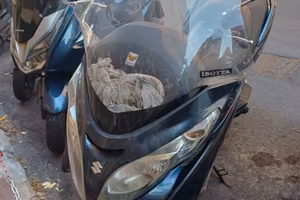 Burgman 400
