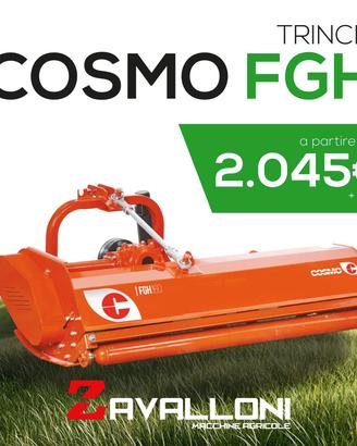 Trinciasarmenti COSMO serie FGH - PROMO