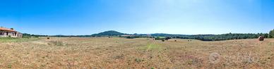 Terreno agricolo con casale e magazzino