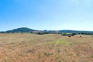 Terreno agricolo con casale e magazzino