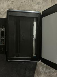 STAMPATRICE USATA UNA VOLTA