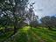 Immagine 14