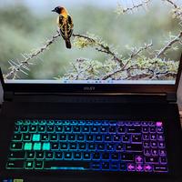 msi katana 17 b13