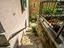 Immagine 26
