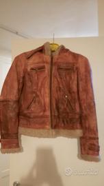 giubbino eccellente donna di Zara