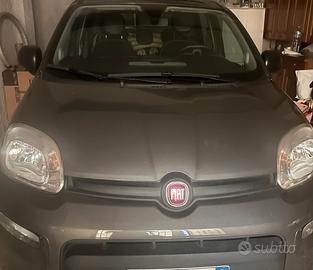 Panda Hybrid anno 2023