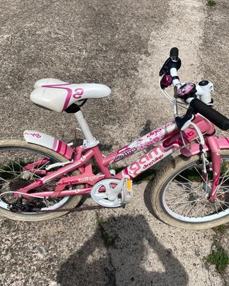 bicicletta