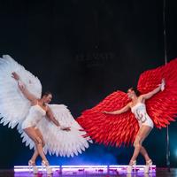 Ali d’angelo flessibili bianchi