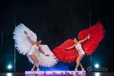 Ali d’angelo flessibili bianchi