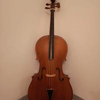 Violoncello barocco 
