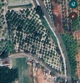 Terreno agricolo Aranceto