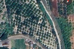 Terreno agricolo Aranceto