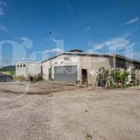 Capannone Industriale Este [Cod. rif 3253351VCG]