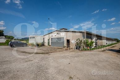 Capannone Industriale Este [Cod. rif 3253351VCG]