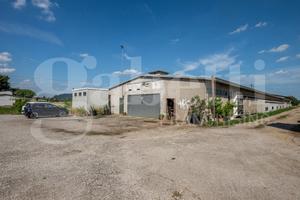 Capannone Industriale Este [Cod. rif 3253351VCG]