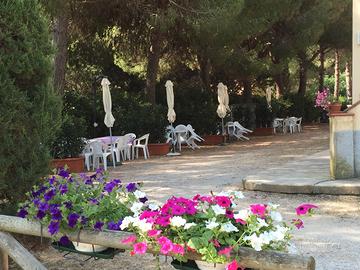 Bilocale Populonia BARATTI Costa Etruschi - 8