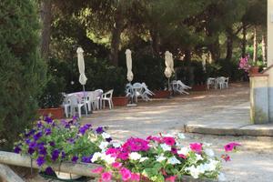 Bilocale Populonia BARATTI Costa Etruschi - 8