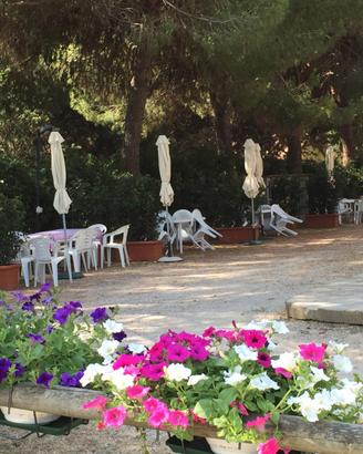 Bilocale Populonia BARATTI Costa Etruschi - 8