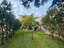 Immagine 7