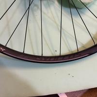 Cerchi da 29 per MTB